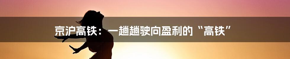 京沪高铁：一趟趟驶向盈利的“高铁”