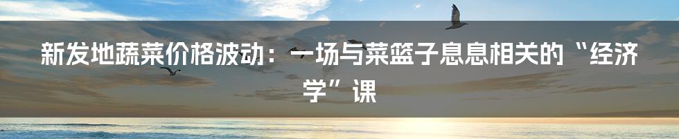 新发地蔬菜价格波动：一场与菜篮子息息相关的“经济学”课