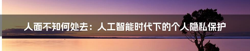 人面不知何处去：人工智能时代下的个人隐私保护