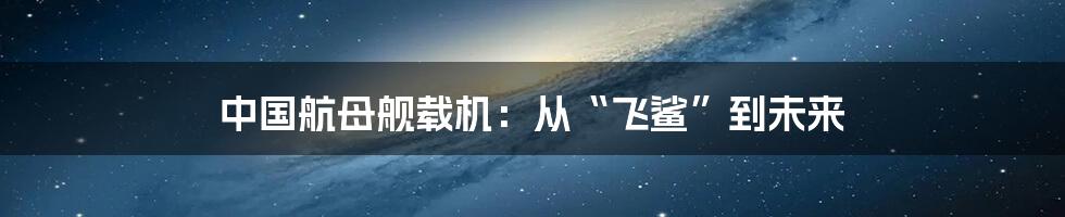 中国航母舰载机：从“飞鲨”到未来