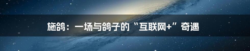 施鸽：一场与鸽子的“互联网+”奇遇