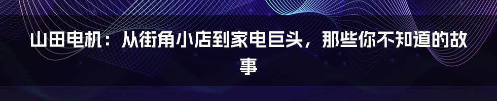 山田电机：从街角小店到家电巨头，那些你不知道的故事