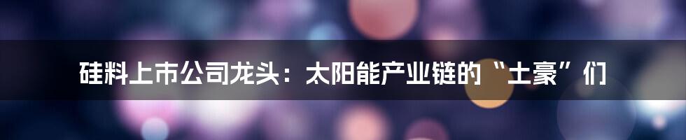 硅料上市公司龙头：太阳能产业链的“土豪”们