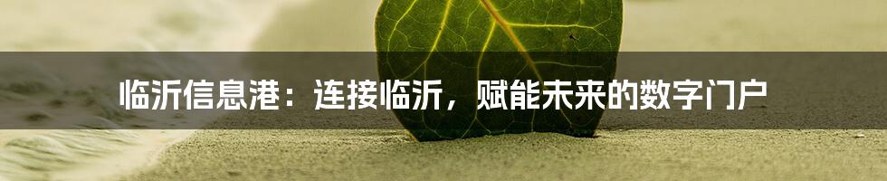 临沂信息港：连接临沂，赋能未来的数字门户