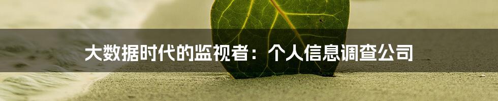 大数据时代的监视者：个人信息调查公司