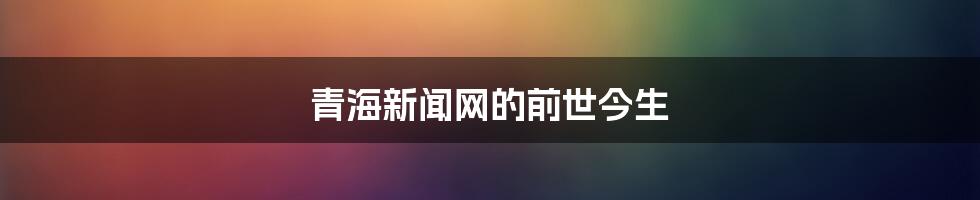 青海新闻网的前世今生