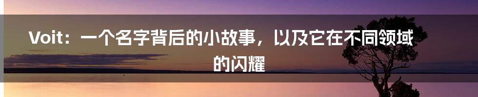 Voit：一个名字背后的小故事，以及它在不同领域的闪耀