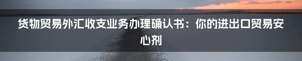 货物贸易外汇收支业务办理确认书：你的进出口贸易安心剂