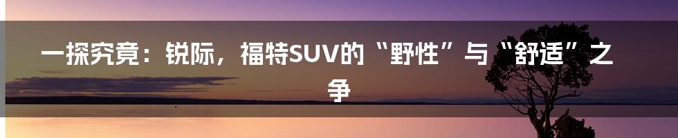 一探究竟：锐际，福特SUV的“野性”与“舒适”之争