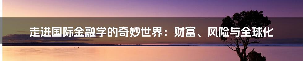 走进国际金融学的奇妙世界：财富、风险与全球化