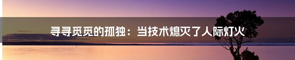 寻寻觅觅的孤独：当技术熄灭了人际灯火