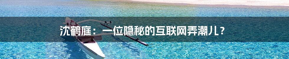 沈鹤庭：一位隐秘的互联网弄潮儿？