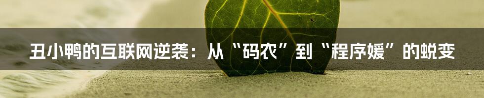 丑小鸭的互联网逆袭：从“码农”到“程序媛”的蜕变