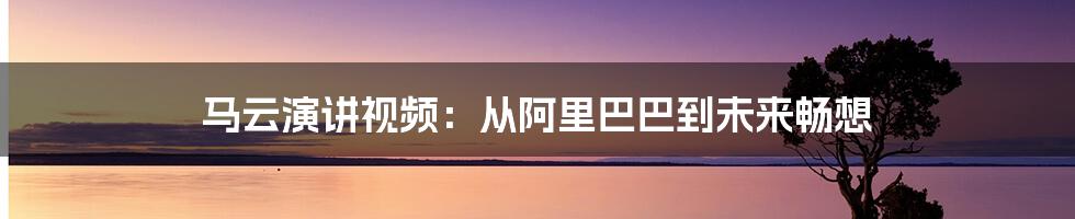 马云演讲视频：从阿里巴巴到未来畅想