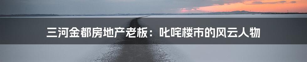 三河金都房地产老板：叱咤楼市的风云人物