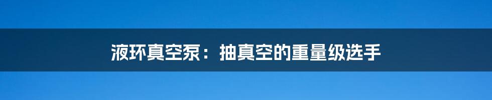 液环真空泵：抽真空的重量级选手