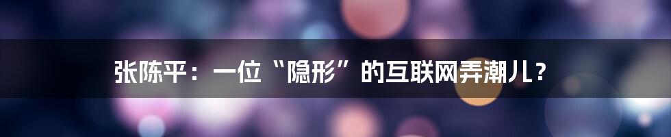 张陈平：一位“隐形”的互联网弄潮儿？