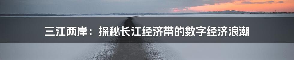 三江两岸：探秘长江经济带的数字经济浪潮