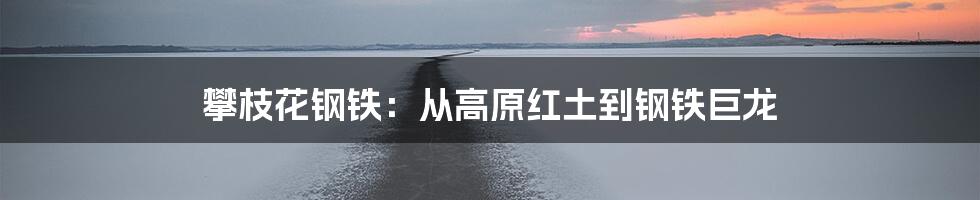 攀枝花钢铁：从高原红土到钢铁巨龙