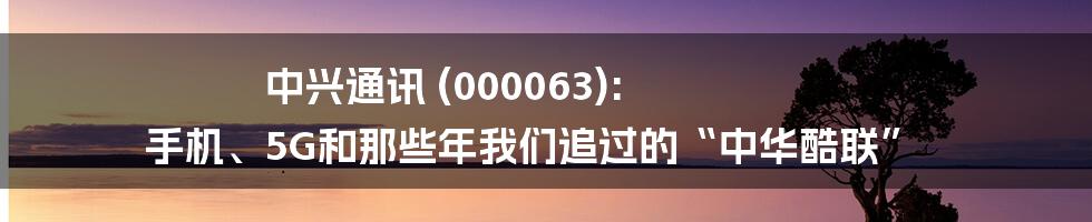 中兴通讯 (000063): 手机、5G和那些年我们追过的“中华酷联”