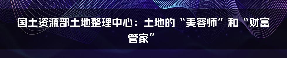 国土资源部土地整理中心：土地的“美容师”和“财富管家”