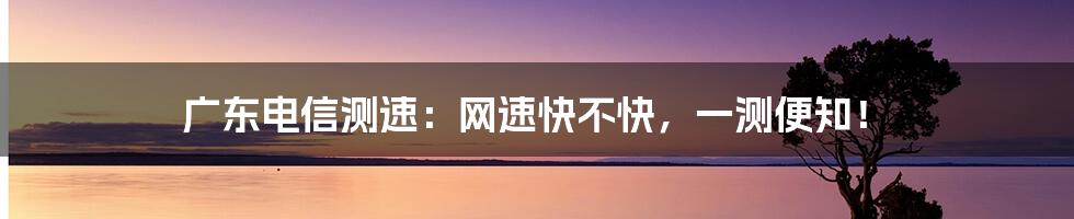 广东电信测速：网速快不快，一测便知！