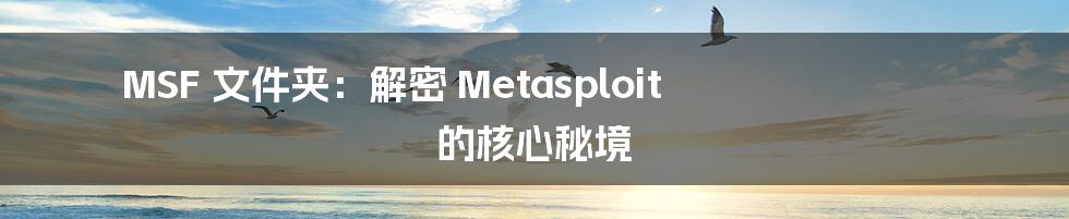 MSF 文件夹：解密 Metasploit 的核心秘境